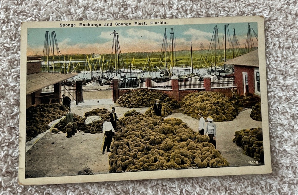Postcard FL Tarpon Springs Sponge Exchange Sponge Fleet WB Vintage Unposted