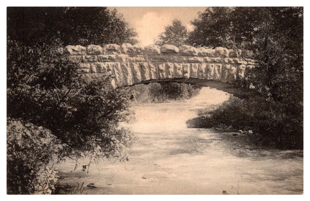 1905 Rustic Bridge First Sister Island Niagara Falls New York Vintage Postcard