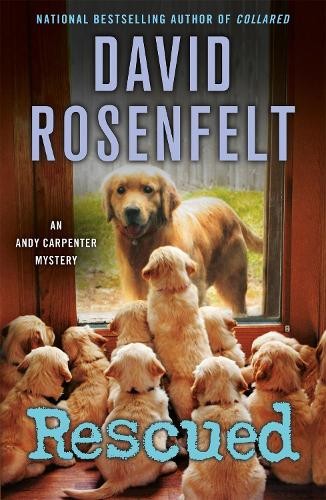 David Rosenfelt Rescued (Paperback)Another great item from Rarewaves USA | Free delivery!