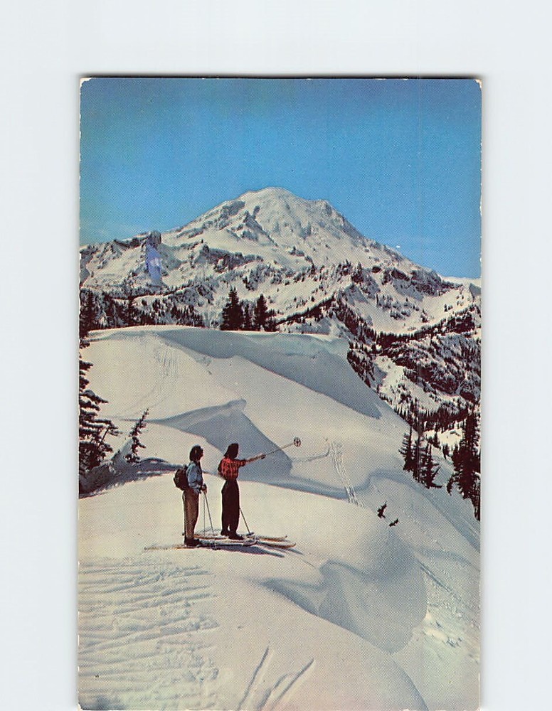 Postcard Mt. Rainier Washington USA