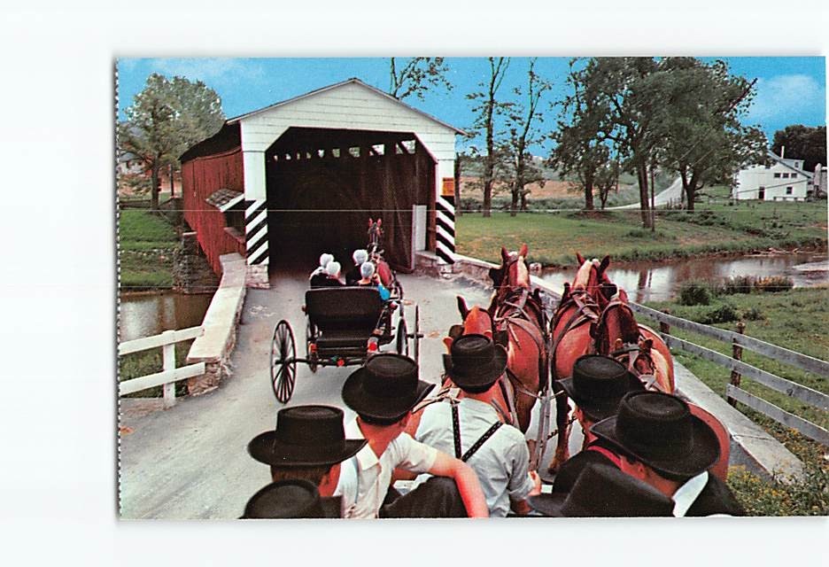 Postcard Amish Boys and Girls Farm Wagon Pennsylvania USA