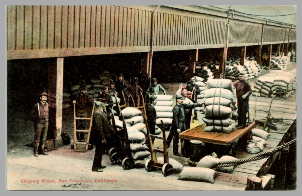 Dock Workers Shipping Wheat San Francisco California DB c1910 UNP Postcard
