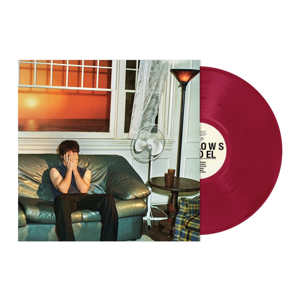 WALLOWS 'Model' Vinyl LP Exclusive Autographed DYLAN Edition + Bonus 7” IN HAND!