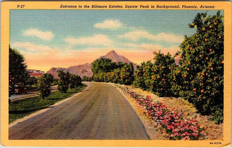 Postcard HIGHWAY SCENE Phoenix Arizona AZ m/09 AN8969