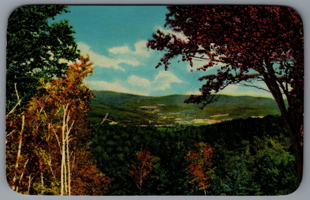 Postcard Taconic Trail Scenic View North Adams Massachusetts Mohawk Trail