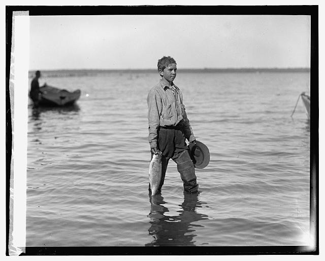 Photo:Shad fishing on Potomac River,Fisherman,United States,1909-1932,1