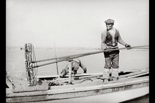 Wicomico River,Rock Point,Marlyand,MD,Charles County,Oyster Fishing,1941,FSA
