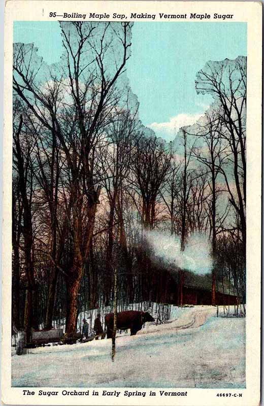 Postcard MAP SCENE State Of Maine ME AM4052