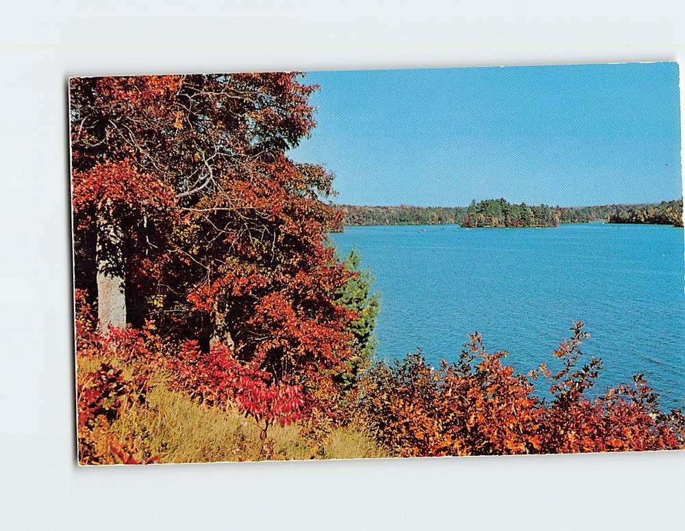 Postcard Autumn Nature Lake Scene