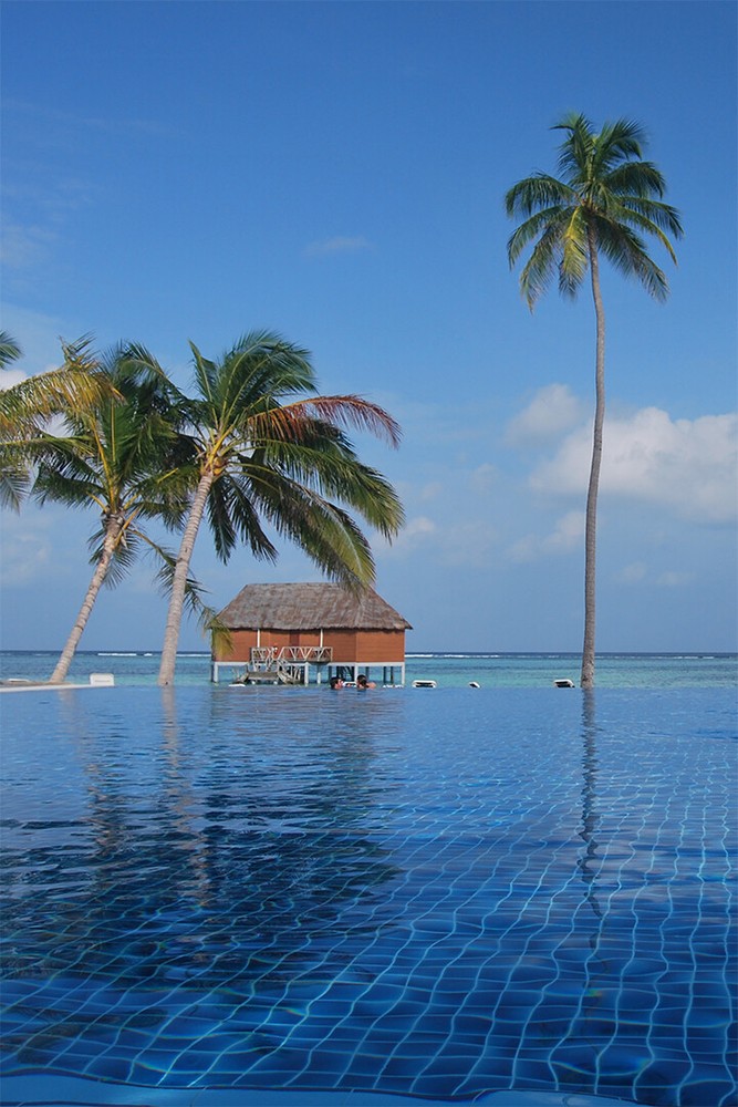 Blue Ocean Palm Seascape Abstract New Painting Wall Art Decor - POSTER 20x30-image