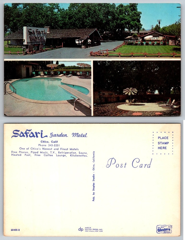 Vintage Safari Garden Motel Chico CA Postcard Swimming Pool Dexter Press