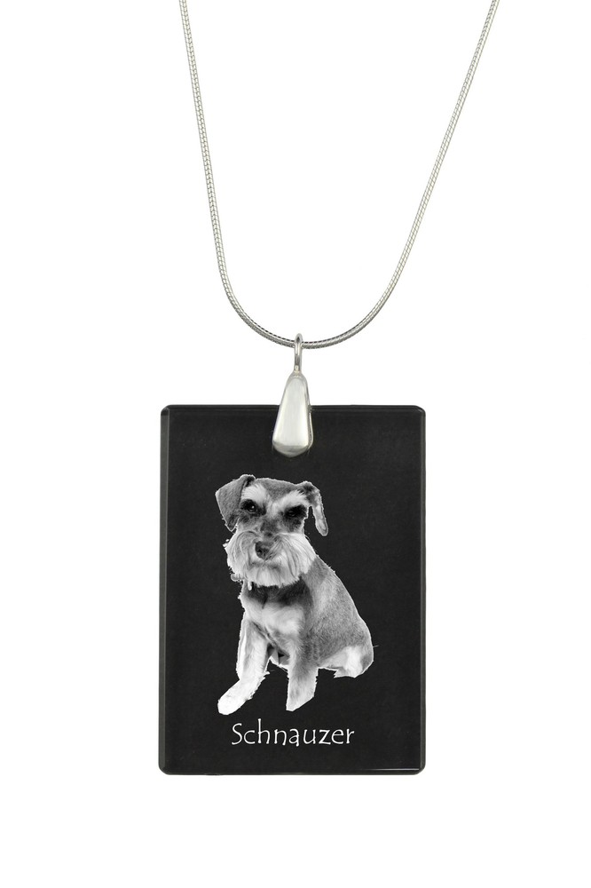 Schnauzer - Crystal Pendant With Dog, Silver Necklace With Photo, Personalized