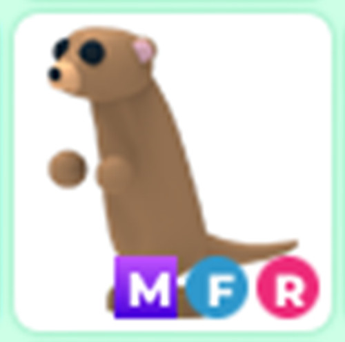 Meerkat Mega -Cheap & Trusted Store!!