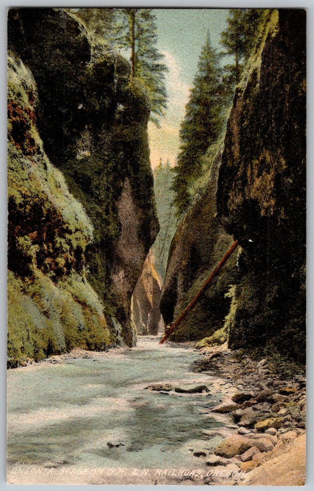 Antique Postcard River Scene Oneonta Gorge, OR 1900s