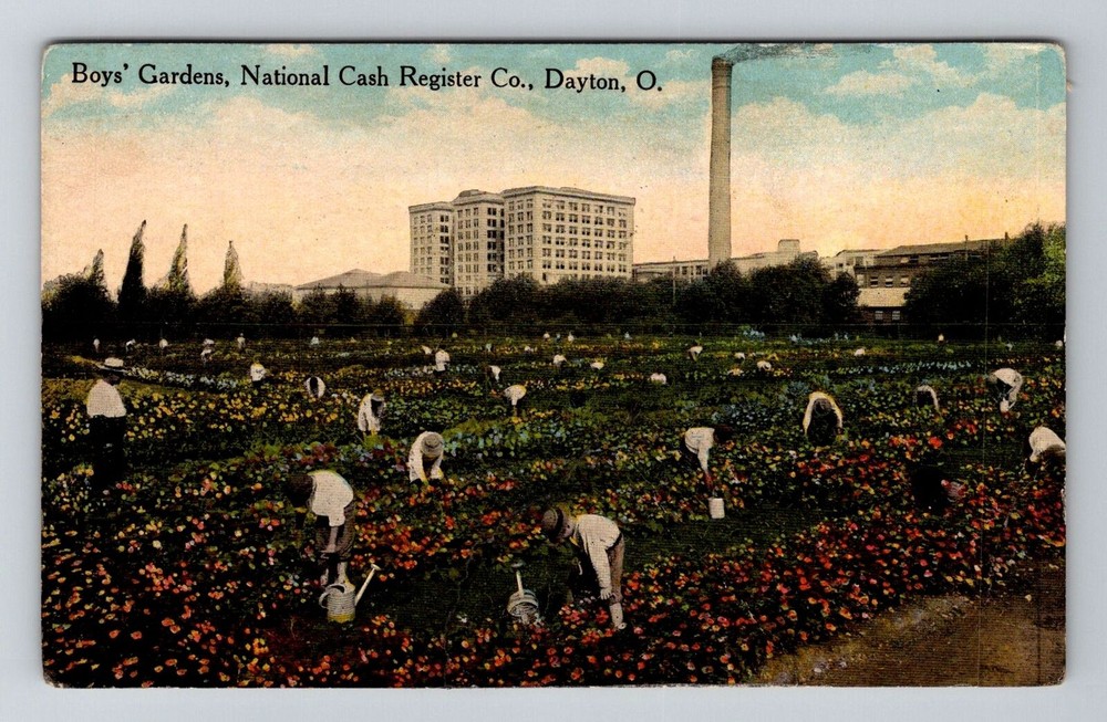 Dayton OH-Ohio, Boys Gardens National Cash Register Co, Vintage Postcard