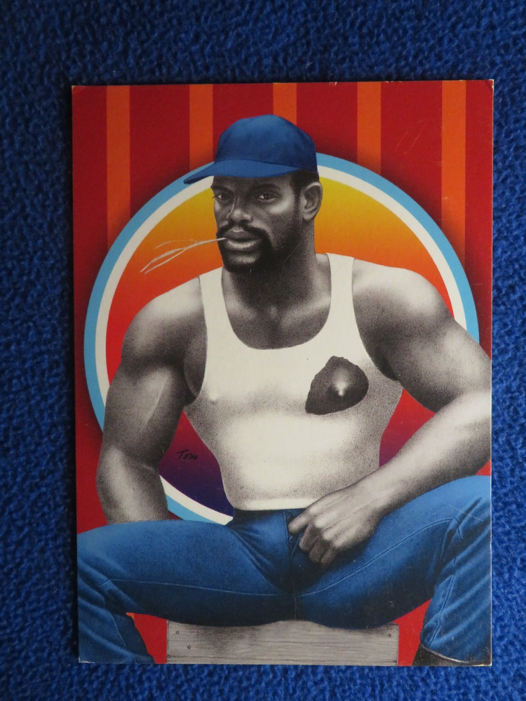 Black  Tom Of Finland  5X7  Postcard