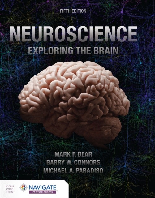 Neuroscience Exploring the Brain by Mark Bear PAPERBACK 9781284286878