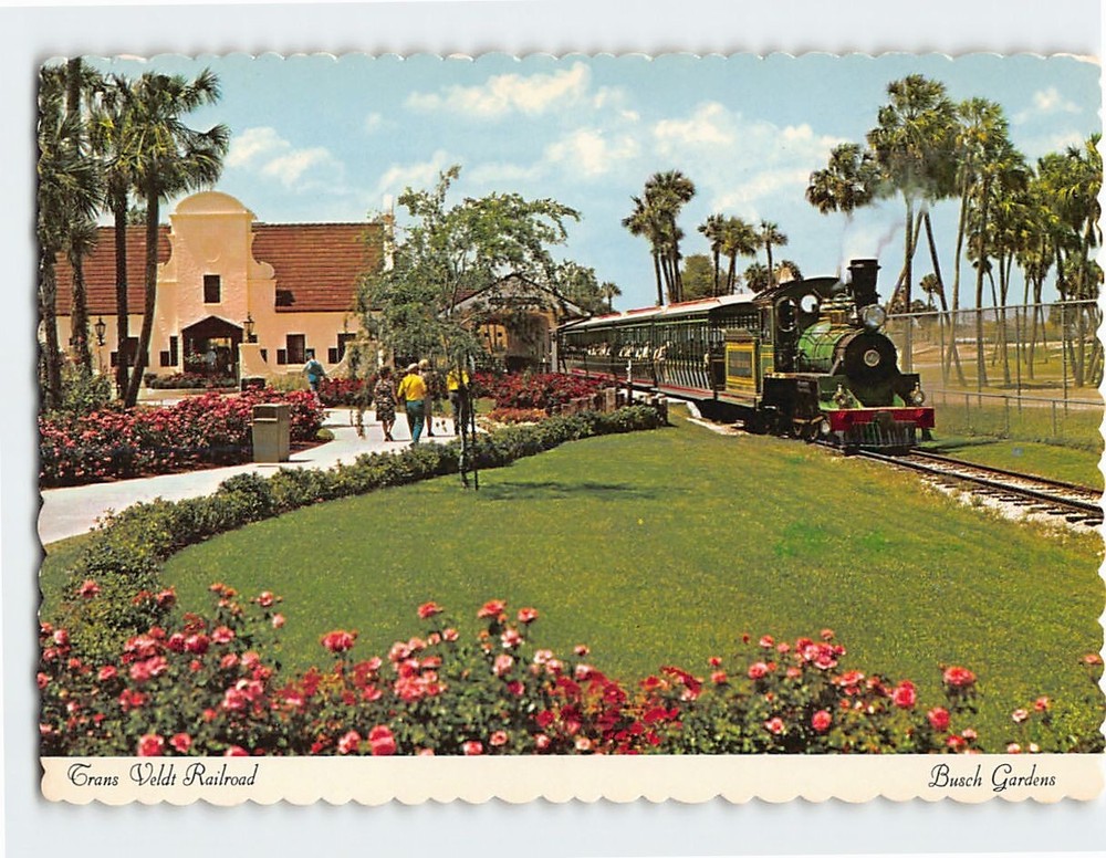 Postcard Trans Veldt Railroad Busch Gardens  Tampa Florida