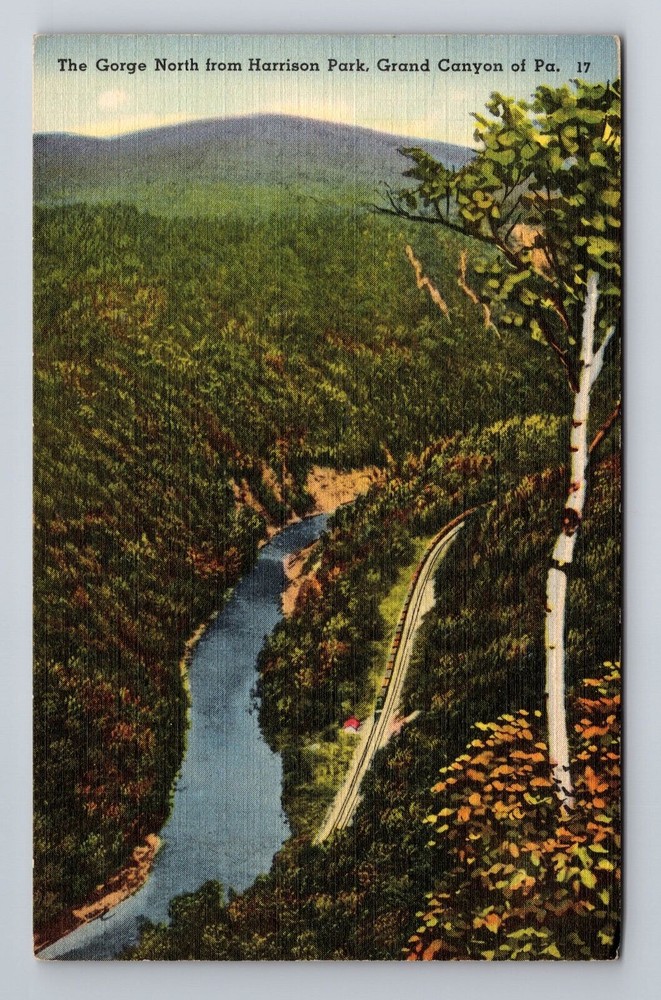 Grand Canyon PA-Pennsylvania, Aerial Gorge North Harrison Park Vintage Postcard