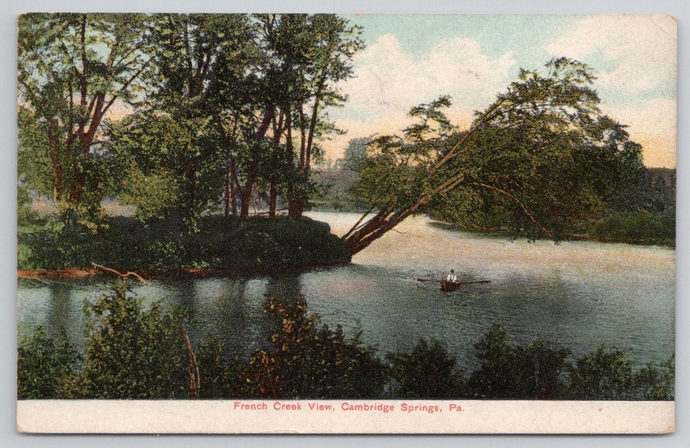 1908 French Creek View Cambridge Springs PA Rowboat Litho-Chrome Postcard