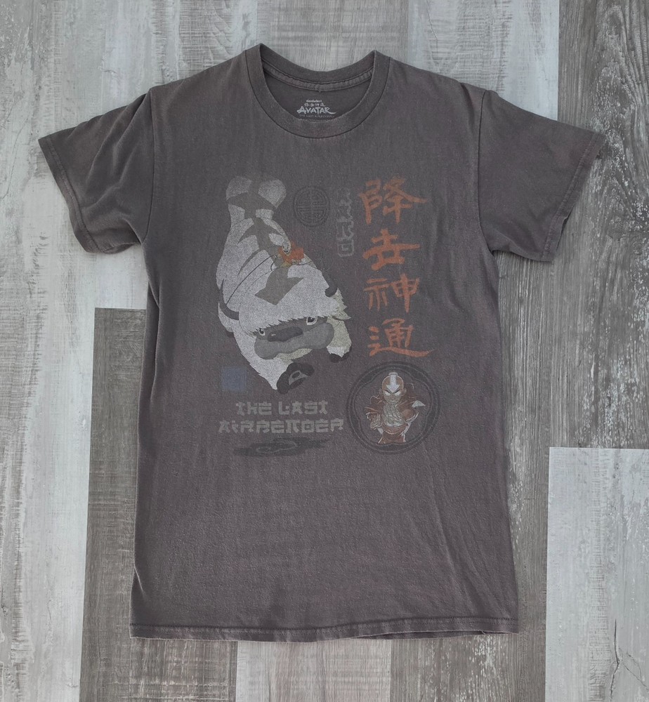 Nickelodeon AVATAR The Last Airbender gray short-sleeve T-shirt (S)