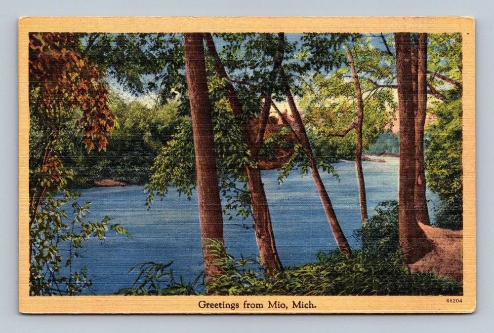 Vintage Greetings from Mio Michigan Scenic Lake Postcard Tichnor Bros