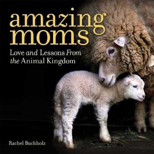 Rachel Buchholz Amazing Moms (Hardback)Another great item from Rarewaves USA | Free delivery!