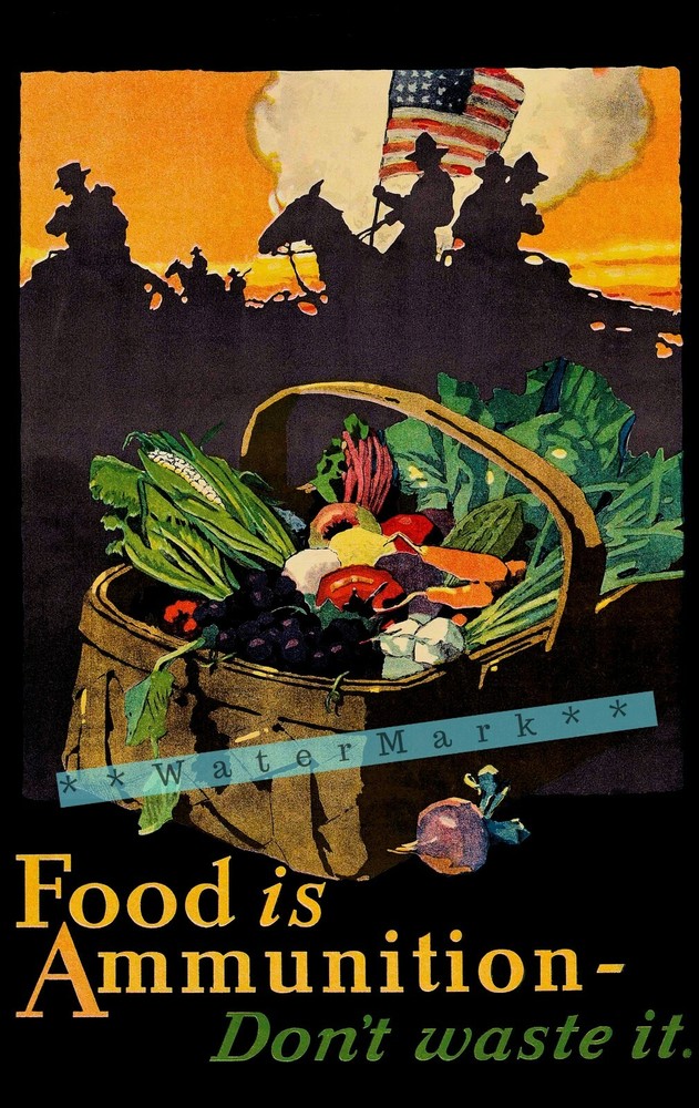 Food Is Ammunition 1918 Don't Waste It Vintage Poster Print Kitchen Art WW1