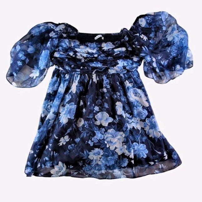 Abercrombie & Fitch Emerson Poplin Puff Sleeve Blue Floral Mini Dress Size XL