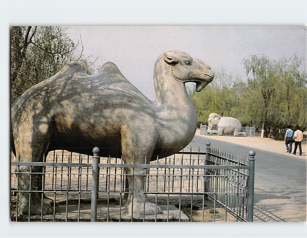 Postcard Camel Statue Divine Road Ming Tombs in Beijing China