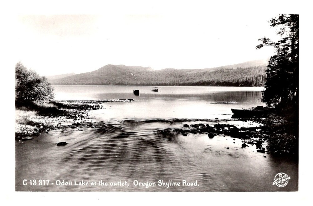 1950s Forest and Hills Odell Lake Klamath Co Oregon Vintage Real Photo Postcard