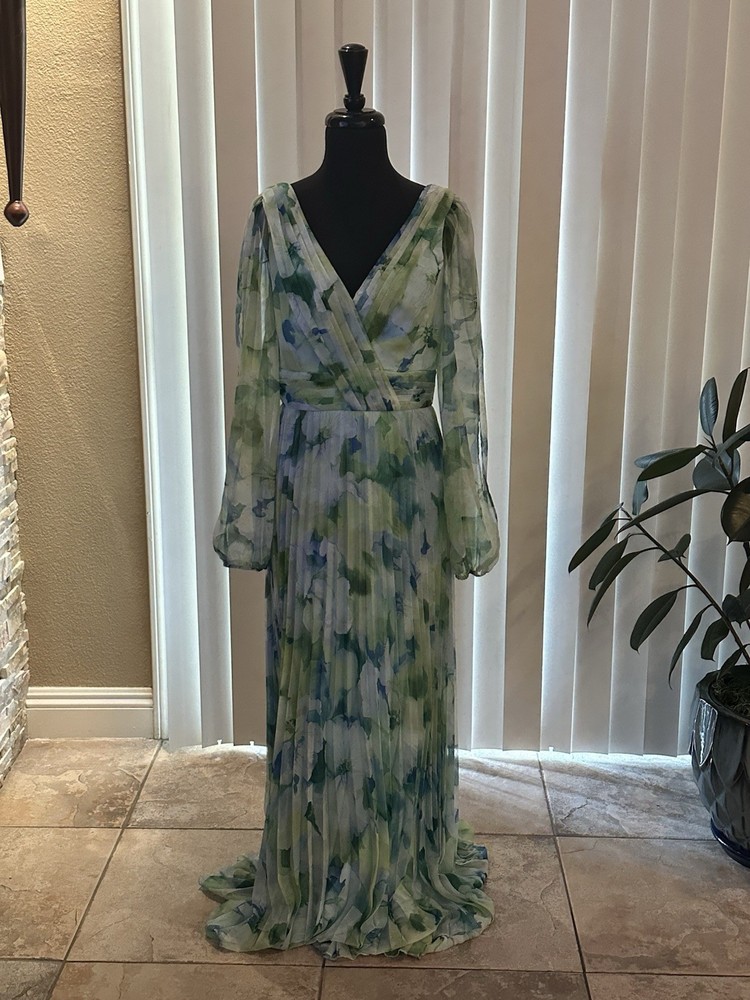 Besty & Adam's Women's Evening Pleaded, Green, Blue flower Dress Size 8 NWT $278