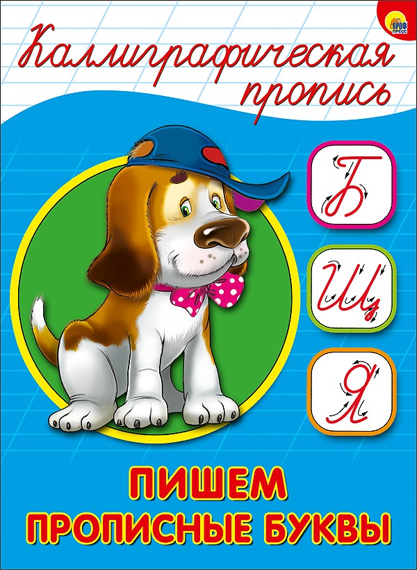 Каллиграфическая Пропись А5. Пишем Прописные Буквы