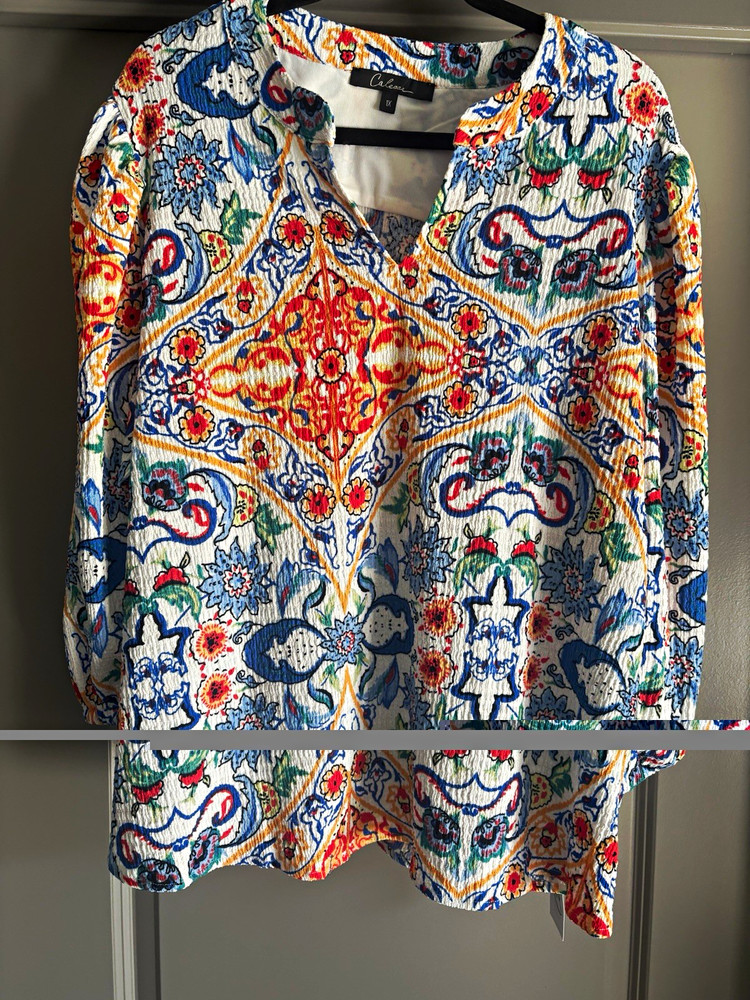 Calessa Blue Multicolor Paisley V-Neck 3/4 Sleeve Tunic Blouse Plus 1X