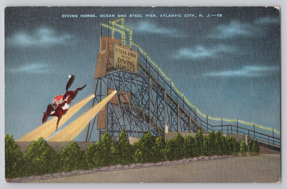 Steel Pier High Diving Horse Atlantic City New Jersey NJ Vintage Postcard