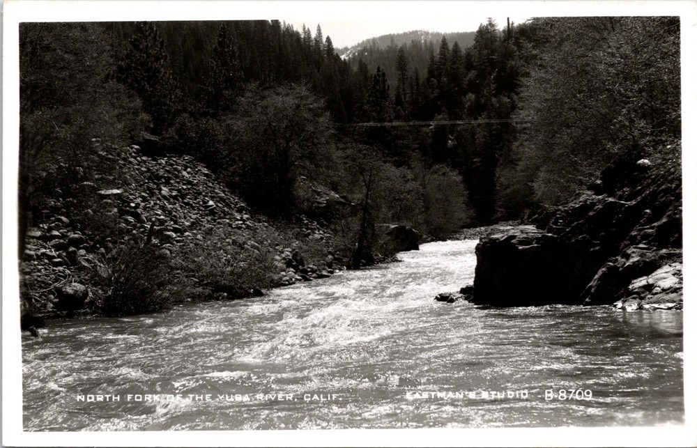 North Fork of the Yuba River Sierras California Vintage Real Photo Postcard