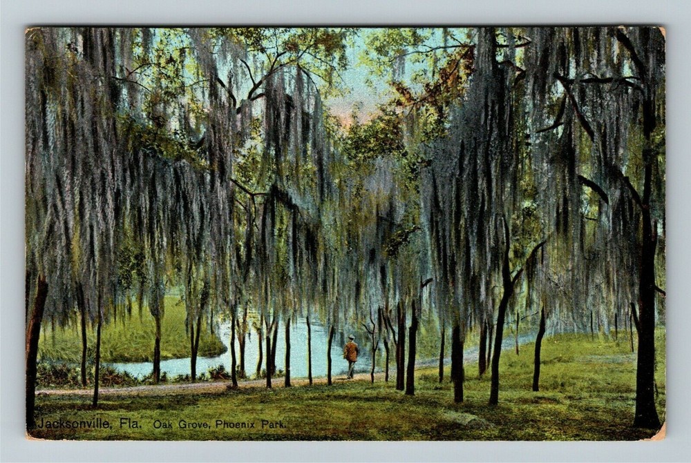 Jacksonville FL-Florida, Oak Grove, Phoenix Park, c1910 Vintage Postcard