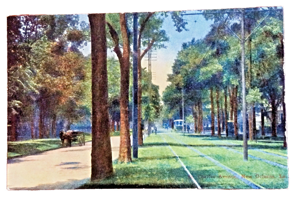 Vintage Postcard St Charles Avenue New Orleans LA Streetcar Written