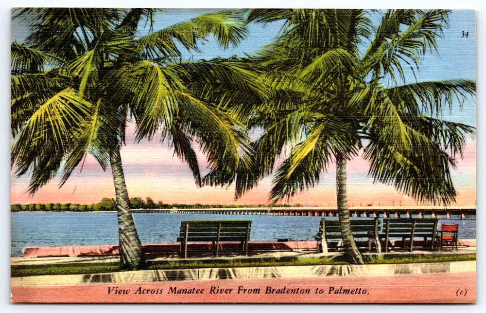 Bradenton Florida Fl Manatee River Pier Bridge Trees Benches Vintage Postcard
