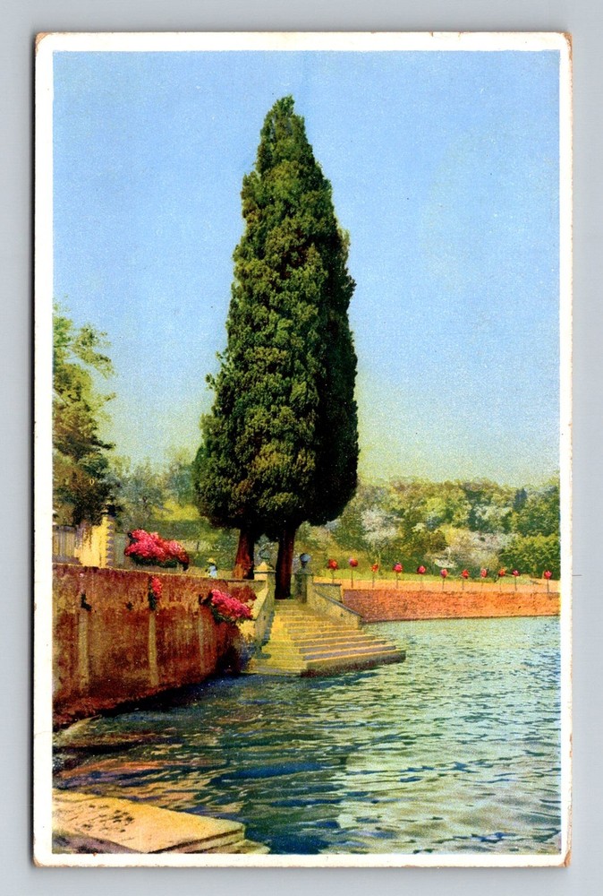 Italy- Scenic Lake View & Promanade Standard Souvenir Old Card Vintage Postcard