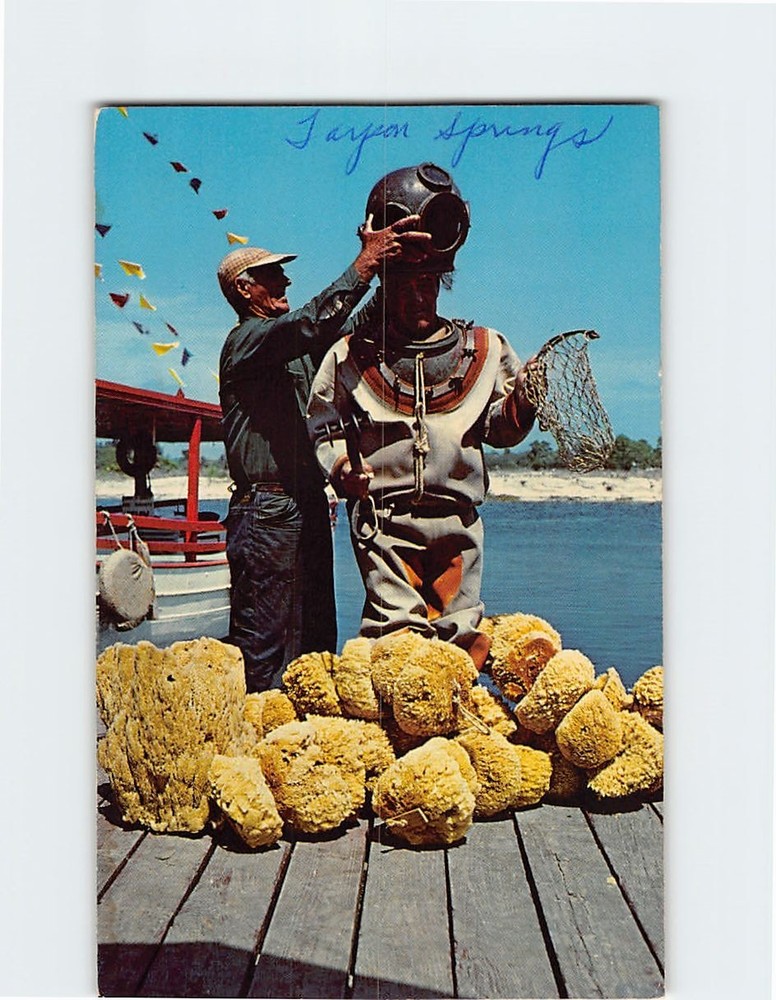 Postcard Preparing For Sponge Diving Tarpon Springs Florida USA