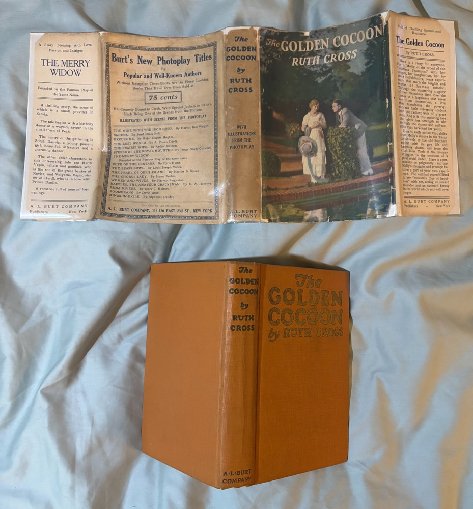 Golden Cocoon - Burt photoplay edition movie tie-in DJ c1925 Helene Chadwick VG