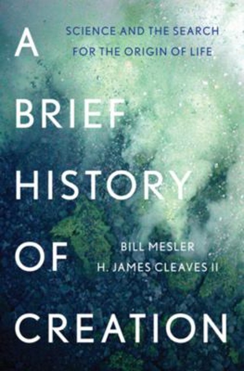 A Brief History of Creation : Science and the Search for the OrigFree US Delivery | ISBN:0393083551