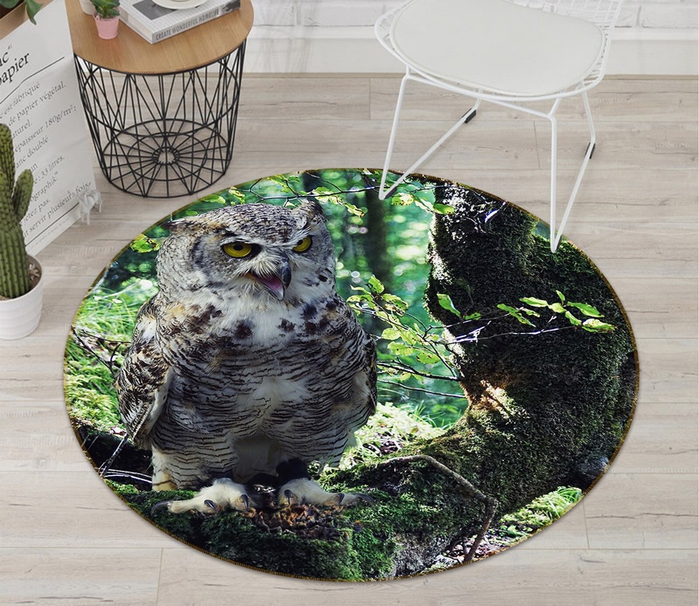 3D Forest Owl Non-Slip Rug Mat Elegant Photo Carpet Romy AHO186945