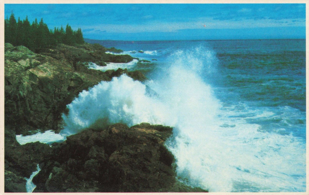 Pounding Surf Along Ocean Drive - Acadia National Park - Maine ME - Postcard