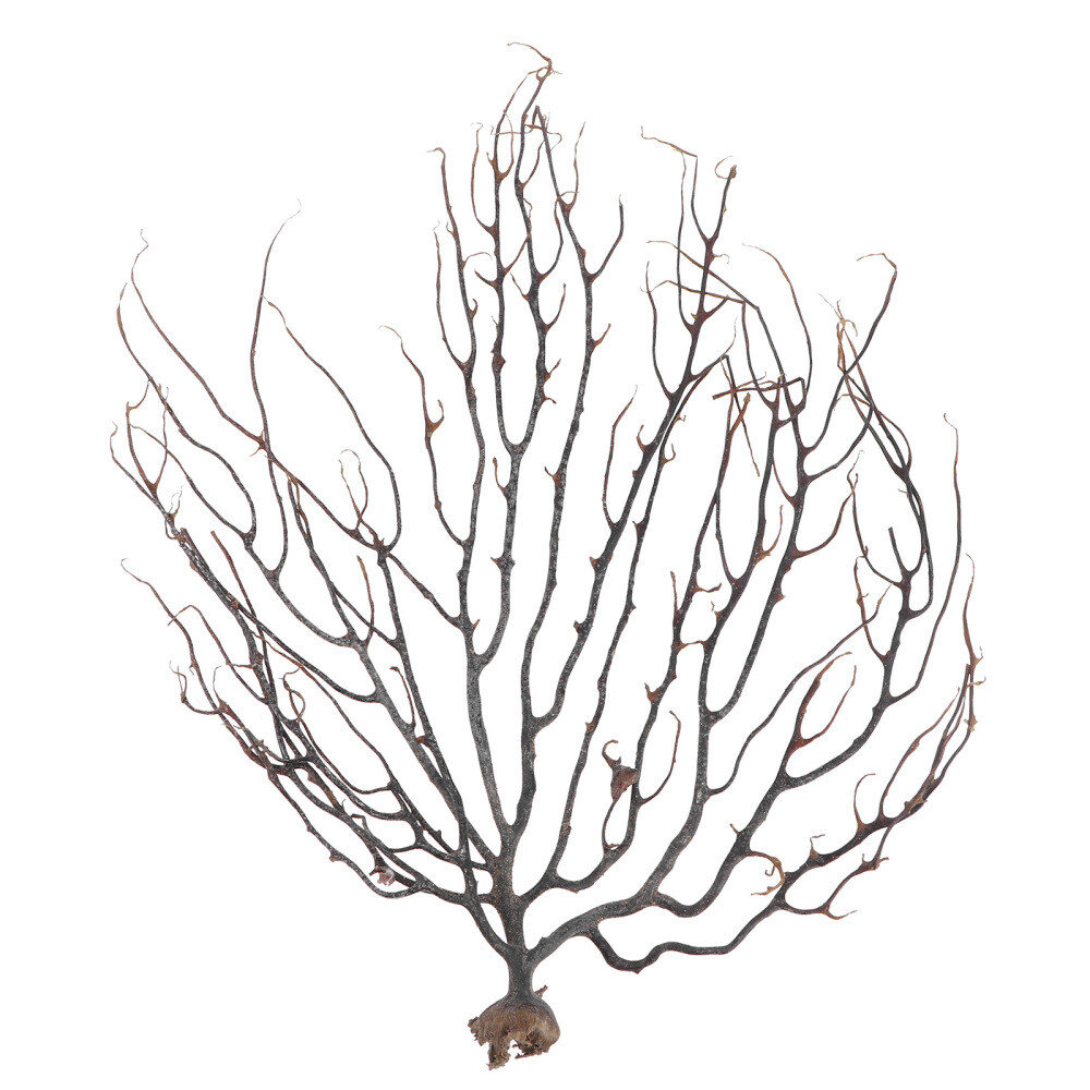 Coral Tabletop Decor Artificial Sea Anemone Artificial Coral Aquariums