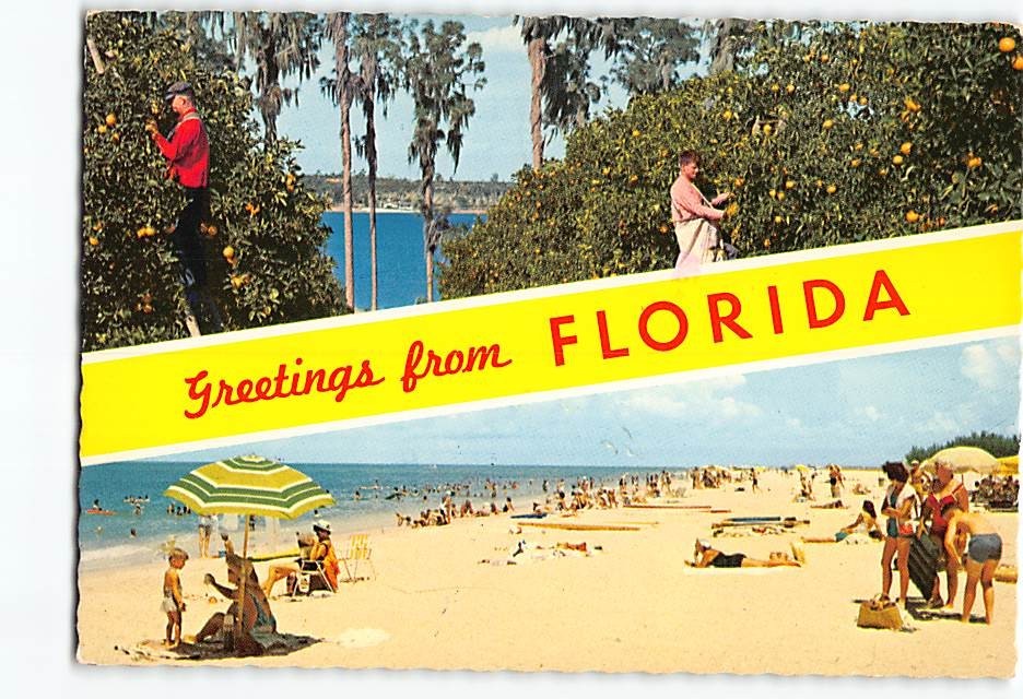 Postcard Greetings from Florida USA