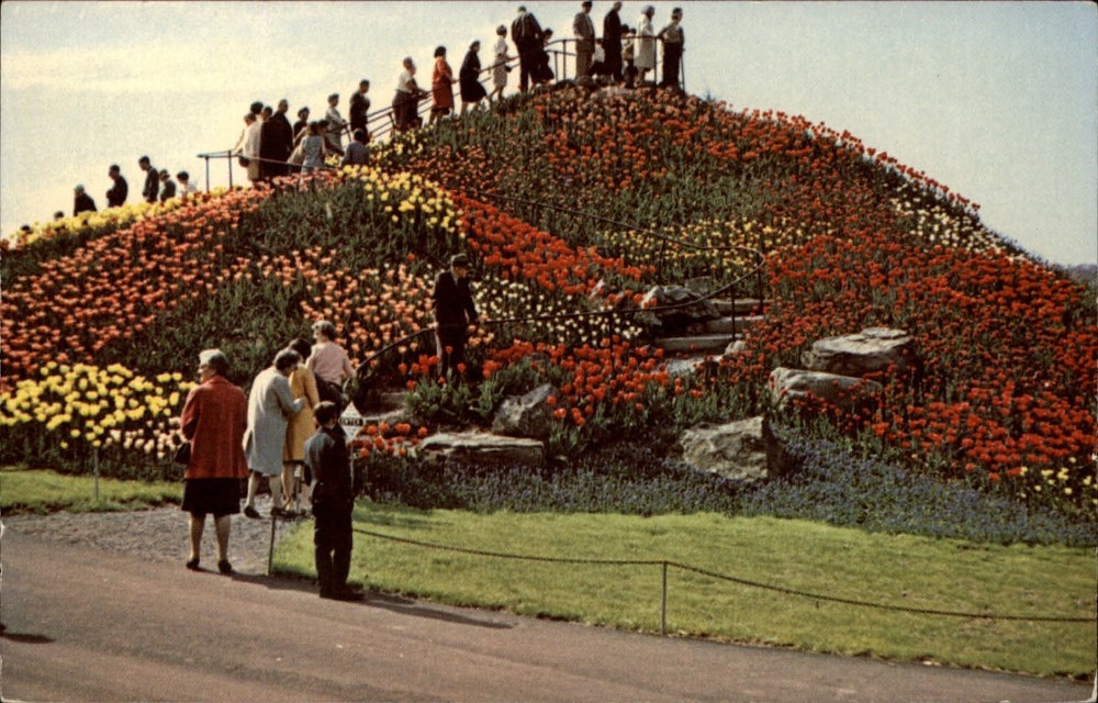 Schwenksville PA Ott's Exotic Greenhouse 150000 tulips Map on backside postcard