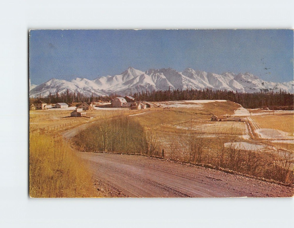 Postcard Matanuska Valley Alaska USA
