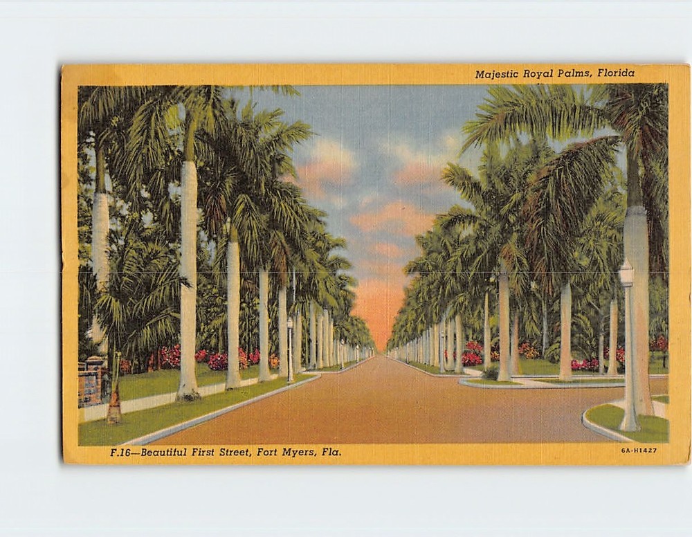 Postcard First Street Fort Myers Majestic Royal Palms Florida USA